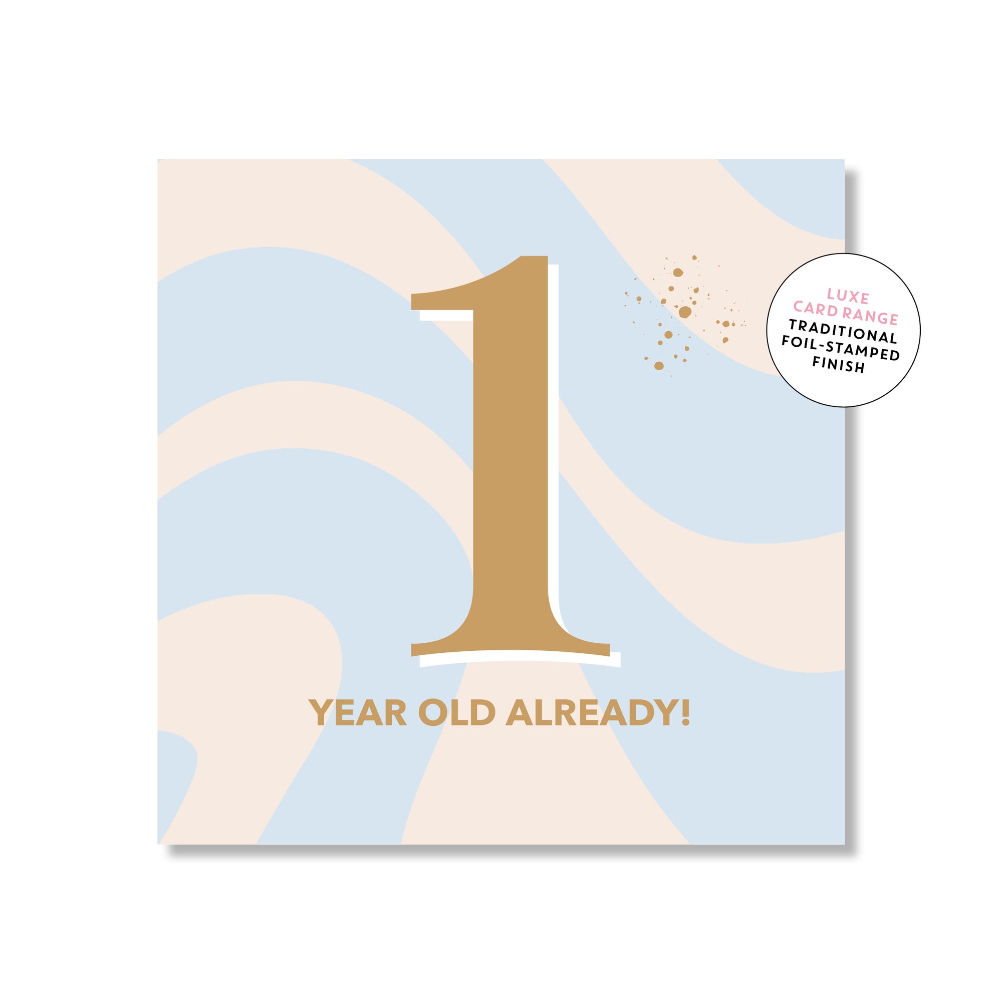 One Year old already!